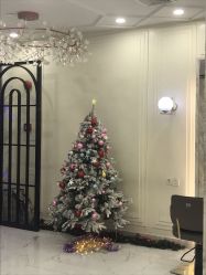 -3AM HAIR SALON染发烫发接发
