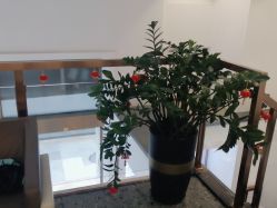 -战痘宣颜科学皮肤管理祛痘中心