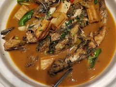 -辛香味烧鱼馆·非遗技艺·排骨红烧肉(光谷医药园店)