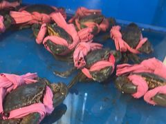 -一品江南韵·淮扬菜