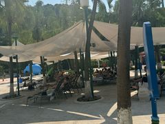 -重庆海昌加勒比海水世界