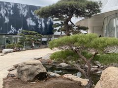 -罗红摄影艺术馆