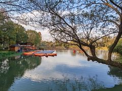 -西溪国家湿地公园