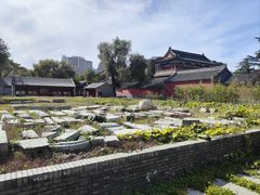 -北京艺术博物馆(万寿寺)