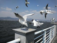-海埂大坝