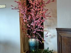 -東大方(安吉灵芝店)