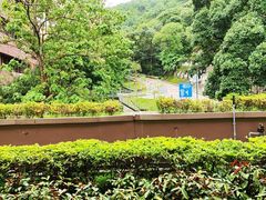 -香港大学