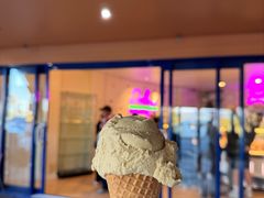 -Dooley's Premium Ice Cream