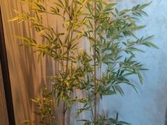 -百富源·海鲜辽菜(张士店)