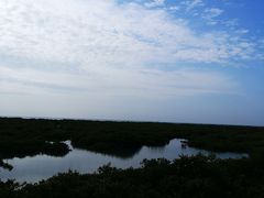 -北海金海湾红树林生态旅游区