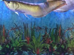 -宜华康盲人按摩(中关村店)