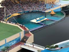 -秦皇岛乐岛海洋王国