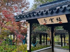 -巡塘古镇