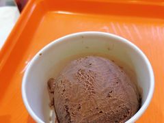 -iceason爱茜茜里·意大利健康冰淇淋(骑龙巷店)