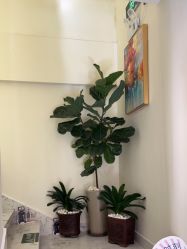 -海涛医疗美容·面部抗衰·注射美鼻