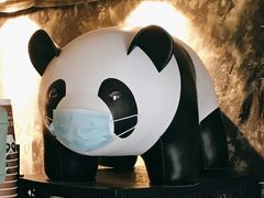 -熊猫一间店欧式奶茶铺
