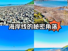 -漳州滨海火山岛自然生态风景区