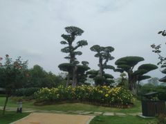 -南宁南湖公园