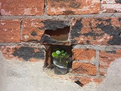 -大头叔烤鸡爪·朝鲜族烤串(天池路店)