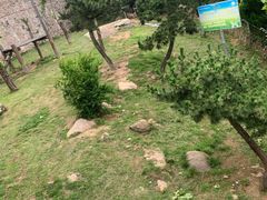 -西霞口神雕山野生动物世界