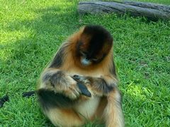 -大连森林动物园