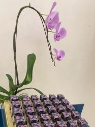 -尊尚柏丽美容SPA