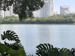 -南宁南湖公园