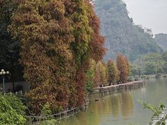 -星湖旅游景区七星岩