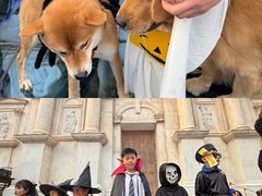 -华谊兄弟（长沙）电影小镇