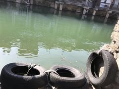 -乌镇景区