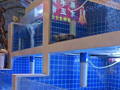 -梅利汴京烤鸭•开封豫菜地标店(东大街店)