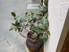 -金稼园·金平湖农家菜