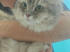 -瑞派福兴宠物医院犬猫全科·骨科·中西医结合(河东店)