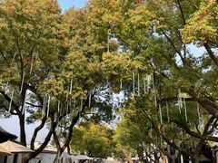 -惠山古镇·寄畅园