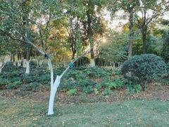 -云龙湖旅游景区