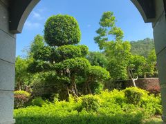 -盛之乡温泉渡假村仕林餐厅