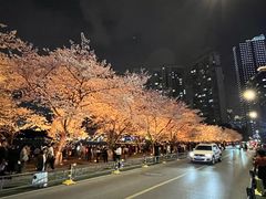 -西北湖绿化广场