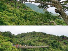 景点-三亚蜈支洲岛旅游区