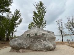 -野鸭湖国家湿地公园