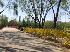 -大兴滨河森林公园