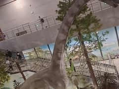 -湖南省地质博物馆