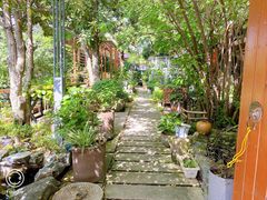 -谷咖啡·鲜花绿植花园餐厅