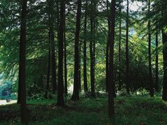 -宝界山林公园