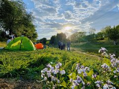 -东坝千亩湖公园