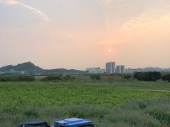 -光明小镇欢乐田园