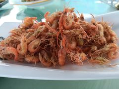 -巩本明鱼屋子