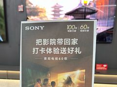 -Sony Store索尼(广州正佳店)