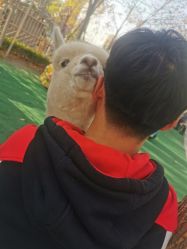 -萌宠亲子动物乐园(槐房万达店)