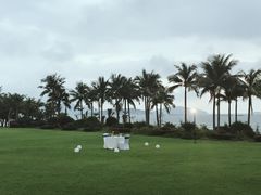 -宴悦海鲜餐厅·游水海鲜·牛排(亚龙湾瑞吉店)