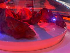 -侏罗纪世界电影特展(广州站)